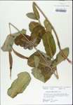 TTRS_000003215-thumbnail.jpg