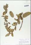 TTRS_000003251-thumbnail.jpg