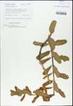 TTRS_000003252-thumbnail.jpg