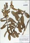 TTRS_000003253-thumbnail.jpg
