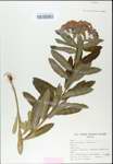 TTRS_000003268-thumbnail.jpg