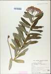 TTRS_000003270-thumbnail.jpg