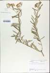 TTRS_000003272-thumbnail.jpg