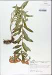 TTRS_000003273-thumbnail.jpg