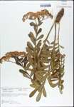 TTRS_000003274-thumbnail.jpg