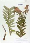 TTRS_000003276-thumbnail.jpg