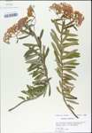 TTRS_000003277-thumbnail.jpg