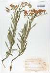 TTRS_000003279-thumbnail.jpg