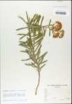 TTRS_000003280-thumbnail.jpg