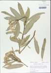 TTRS_000003303-thumbnail.jpg