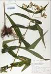 TTRS_000003876-thumbnail.jpg