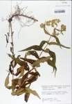 TTRS_000003878-thumbnail.jpg
