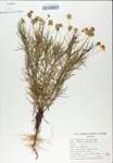 TTRS_000003985-thumbnail.jpg