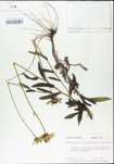 TTRS_000004465-thumbnail.jpg