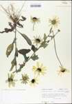 TTRS_000004467-thumbnail.jpg