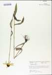 TTRS_000004509-thumbnail.jpg