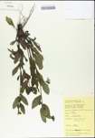 TTRS_000004511-thumbnail.jpg