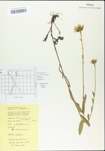 TTRS_000004512-thumbnail.jpg