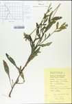 TTRS_000004513-thumbnail.jpg