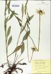 TTRS_000004514-thumbnail.jpg