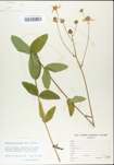 TTRS_000004722-thumbnail.jpg