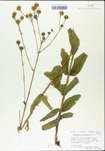 TTRS_000004726-thumbnail.jpg