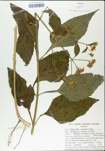 TTRS_000004736-thumbnail.jpg
