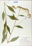 TTRS_000004738-thumbnail.jpg