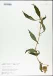 TTRS_000004740-thumbnail.jpg