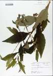 TTRS_000004741-thumbnail.jpg