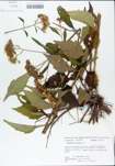 TTRS_000004743-thumbnail.jpg