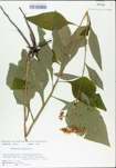 TTRS_000004744-thumbnail.jpg