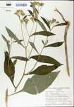 TTRS_000004745-thumbnail.jpg