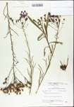 TTRS_000004751-thumbnail.jpg