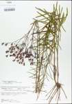 TTRS_000004752-thumbnail.jpg