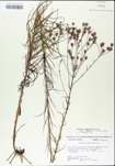 TTRS_000004754-thumbnail.jpg
