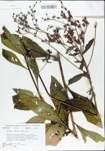 TTRS_000004759-thumbnail.jpg
