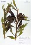 TTRS_000004763-thumbnail.jpg