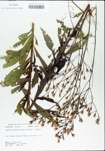 TTRS_000004764-thumbnail.jpg