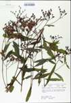 TTRS_000004766-thumbnail.jpg