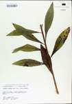 TTRS_000004768-thumbnail.jpg