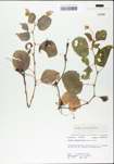 TTRS_000004782-thumbnail.jpg