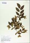 TTRS_000004794-thumbnail.jpg