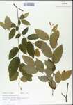 TTRS_000004796-thumbnail.jpg