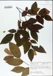 TTRS_000004802-thumbnail.jpg