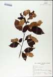 TTRS_000004804-thumbnail.jpg