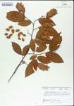 TTRS_000004805-thumbnail.jpg