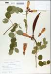 TTRS_000004815-thumbnail.jpg