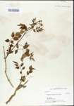 TTRS_000004816-thumbnail.jpg