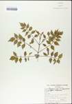 TTRS_000004817-thumbnail.jpg